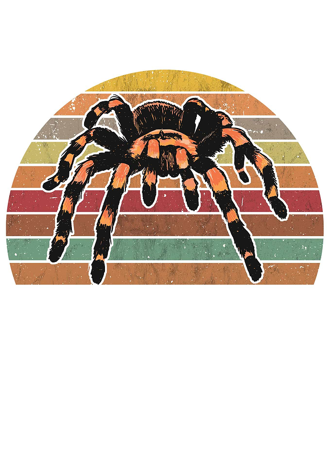 Tarantula Retro Spider