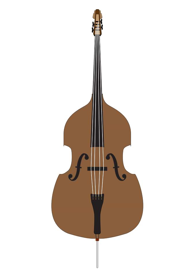 Cartoon Style Double Bass