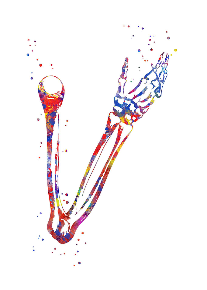 Arm