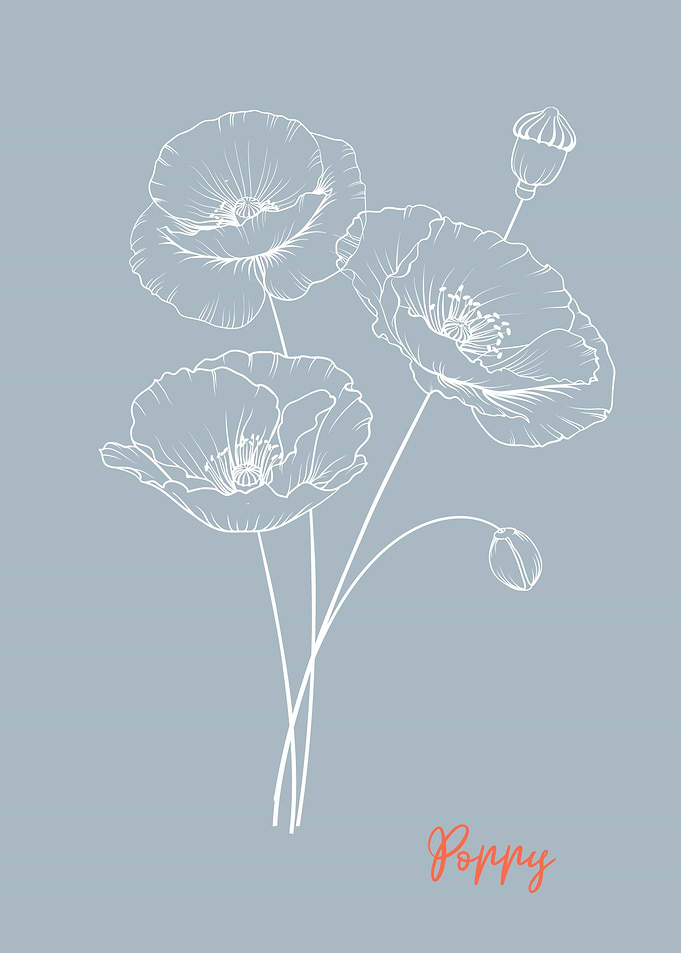 Poppy Flower