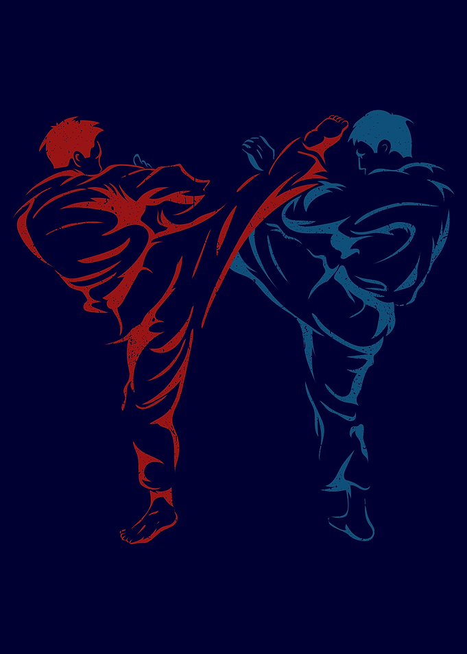 Karate Fighters Black Belt