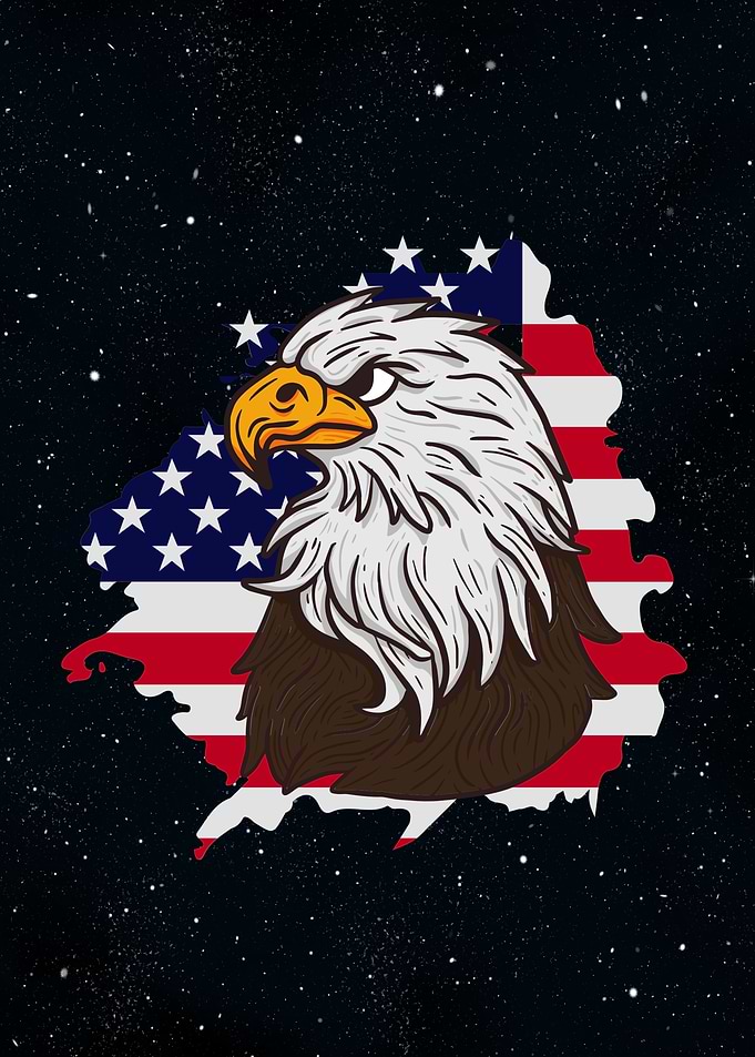 Eagle American Flag