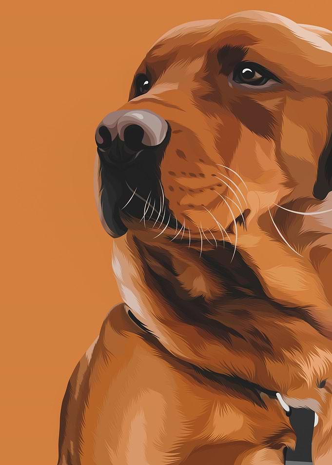 Orange Dog