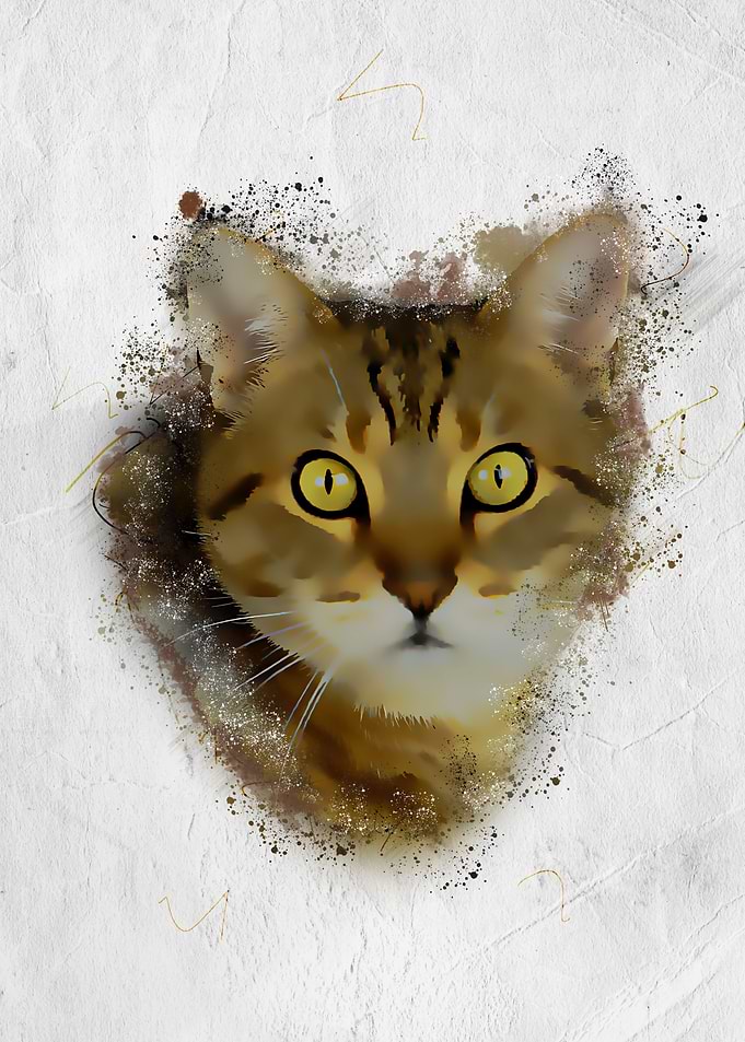 Kittens Cute Baby