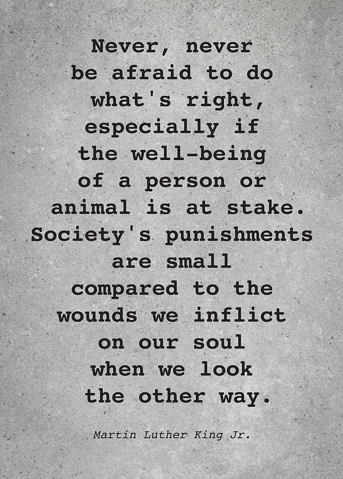Martin L King J Quote L014