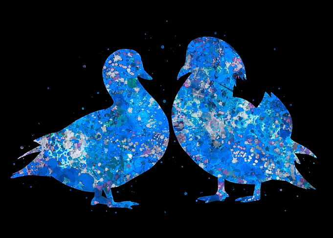 Duck mandarin love