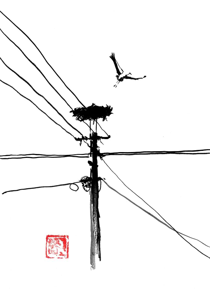 taking off storke