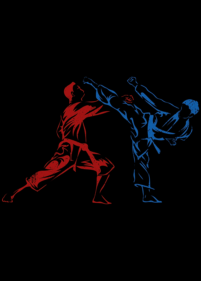 Karate Fighters Black Belt