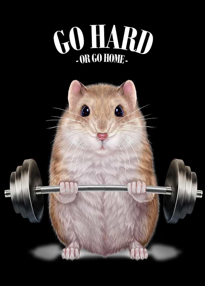 Hamster Weightlifting