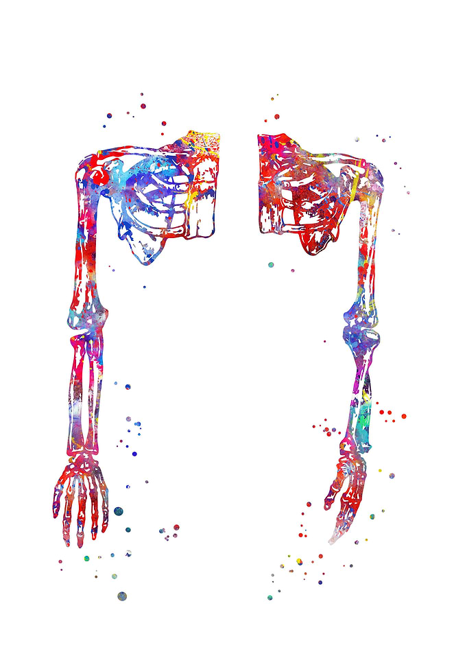 Arm
