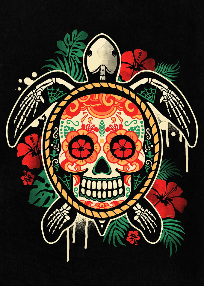 Skull tropical sea turtle