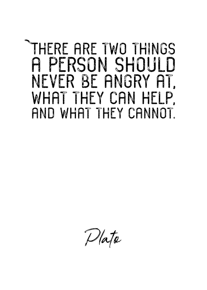 Plato Quote 8