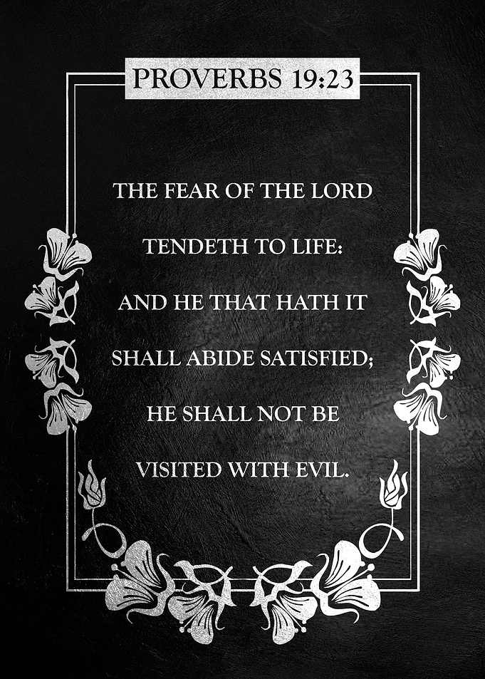 Proverbs 19 23