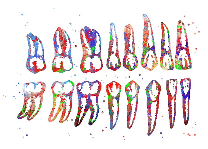 Tooth chart