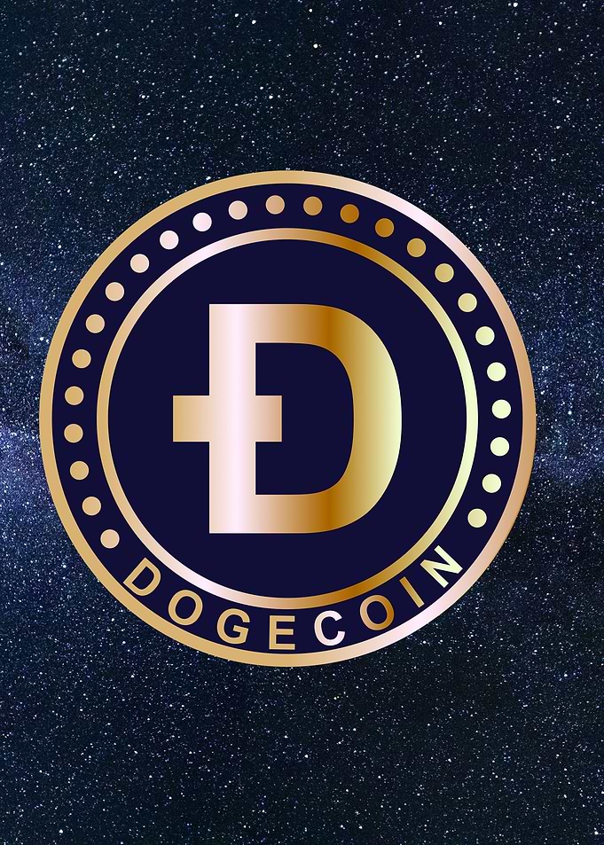 Dogecoin to the Moon Space