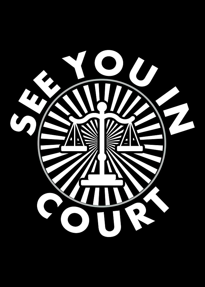 Lawyer Law School Student