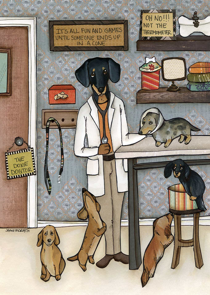 The Doxie Dogtor