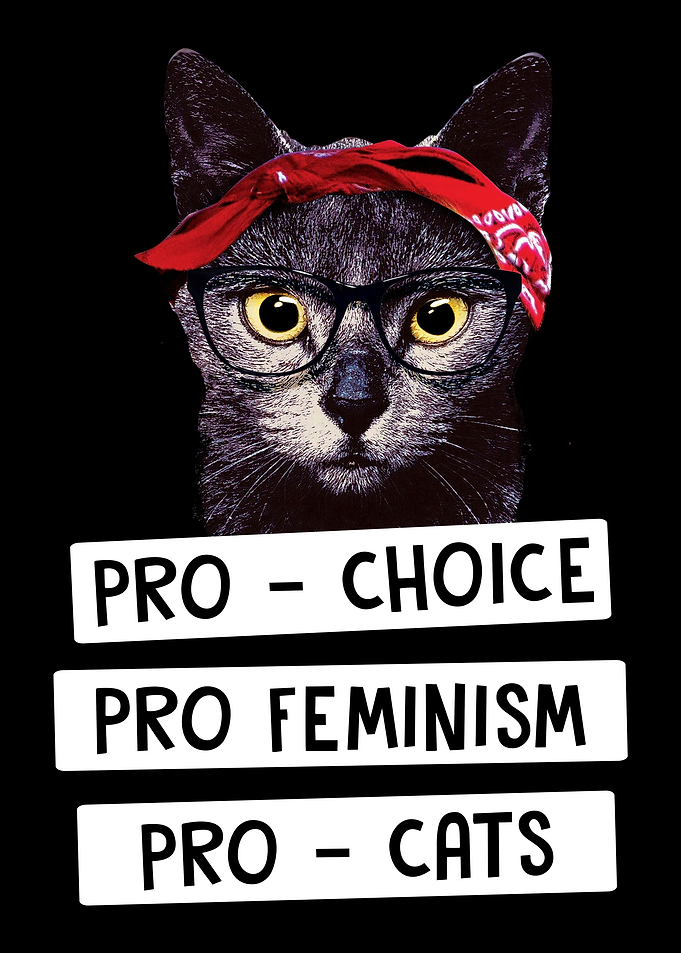 Pro Choice Feminism Cats