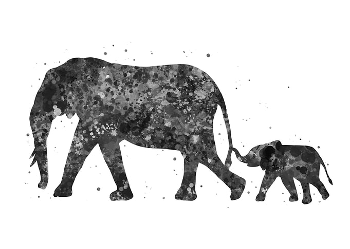 Elephant with baby