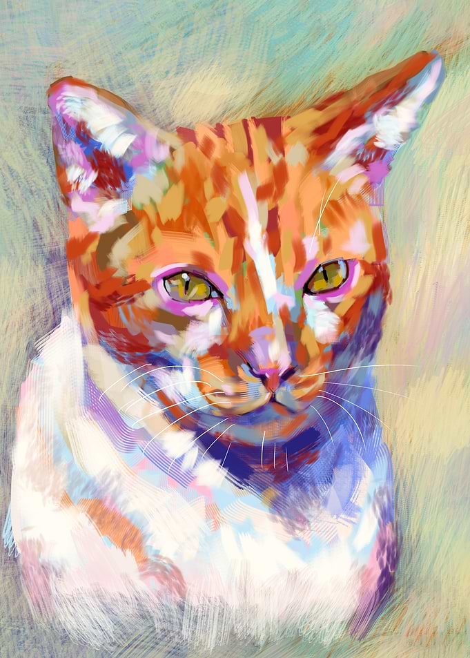 THE GINGER CAT