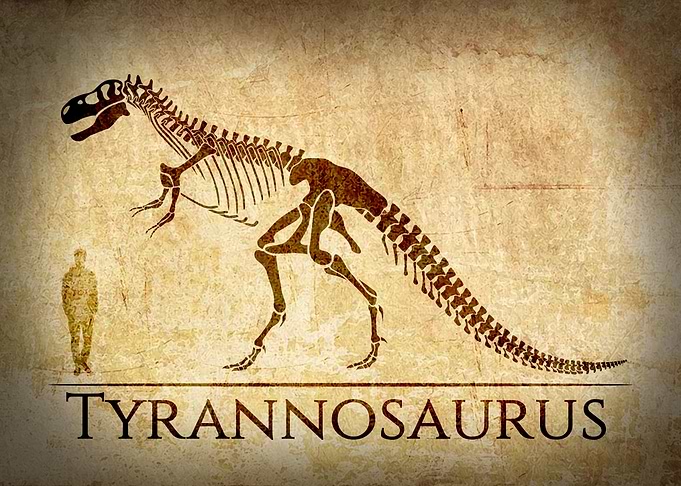 Tyrannosaurus Skeleton