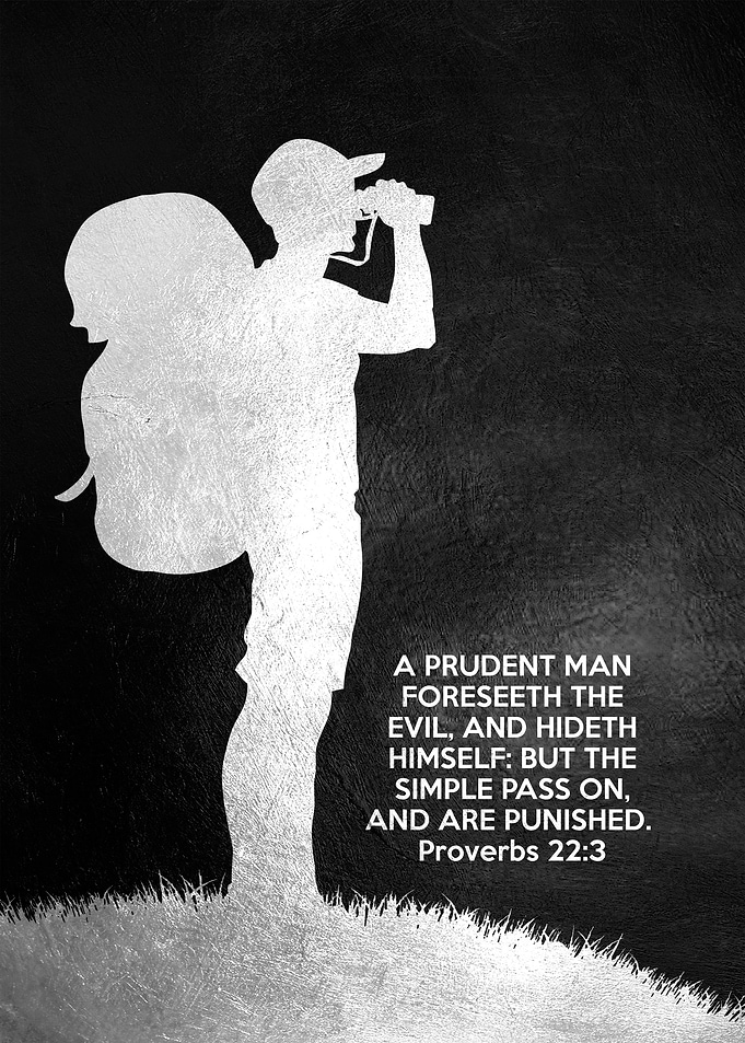 Proverbs 22 3