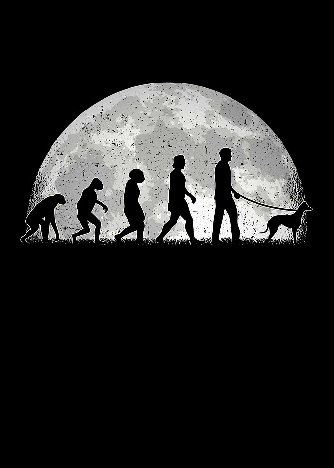 Whippet Evolution Moon