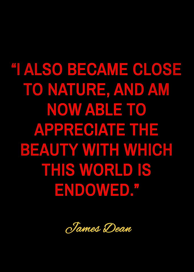 james dean quotes