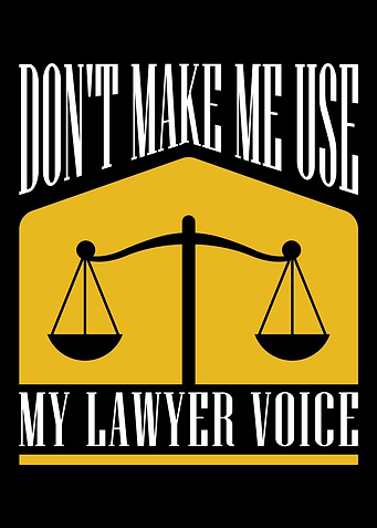 Lawyer Law School Student