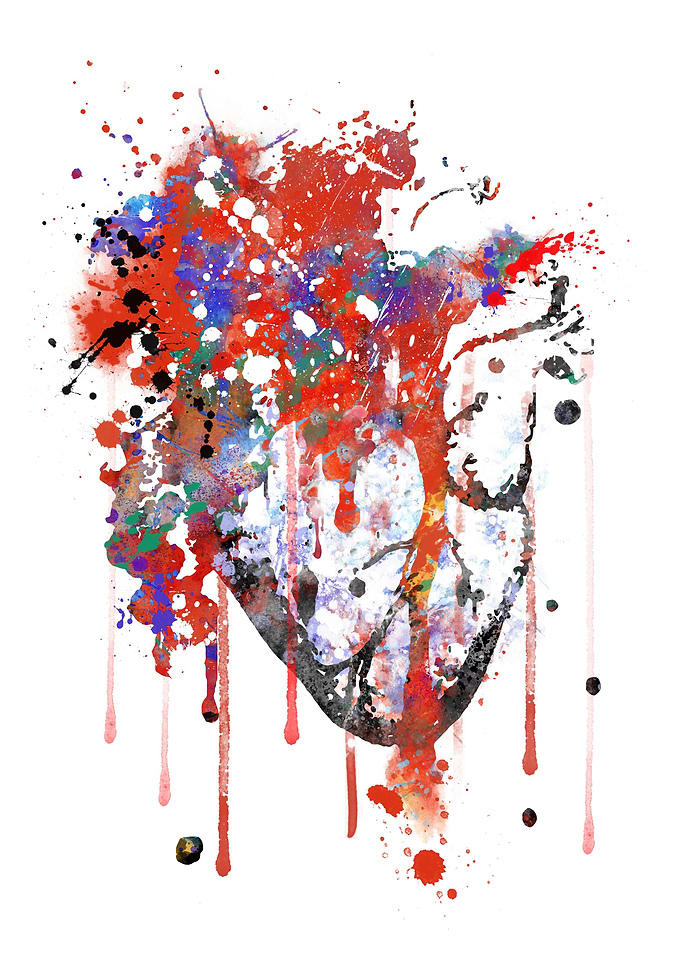 Heart anatomy