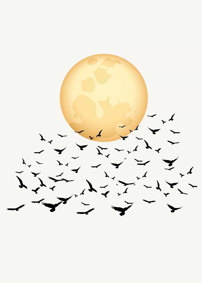 Bird Fly Away