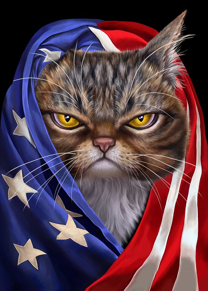Tabby Cat USA Patriot