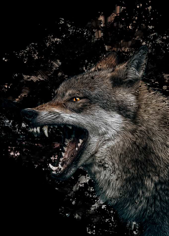 Wolf