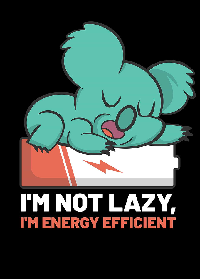 Im Energy Efficient
