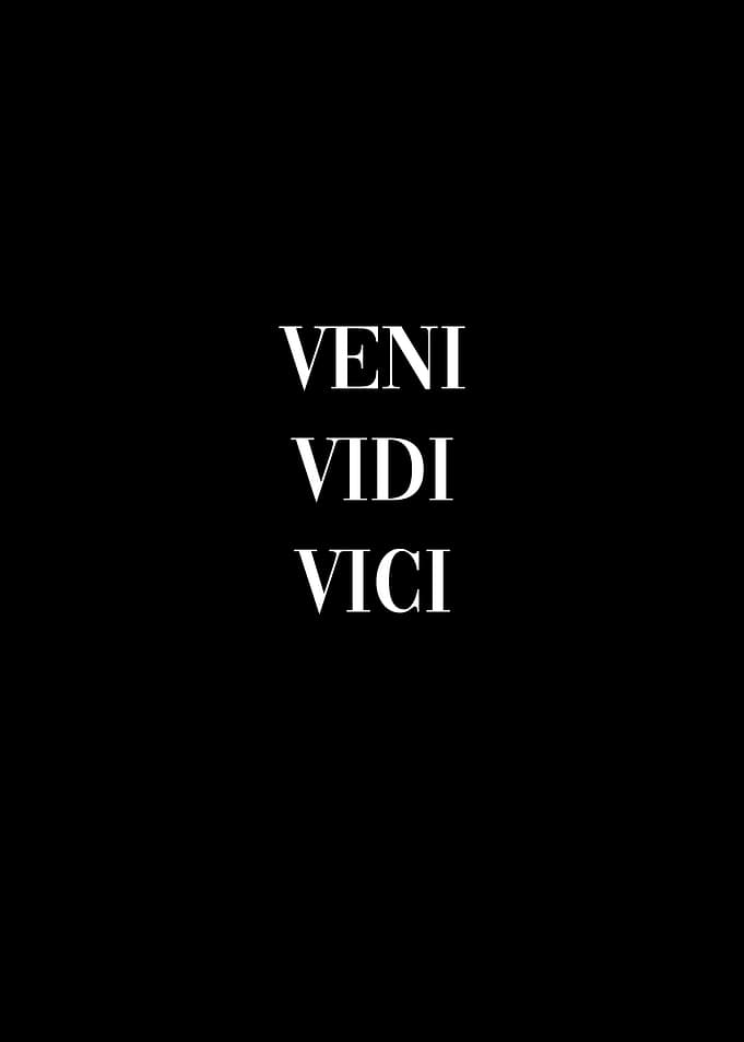 Veni Vidi Vici