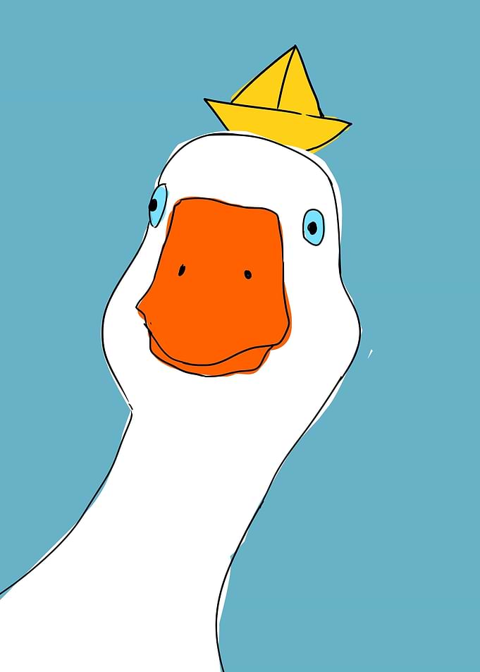funny goose face