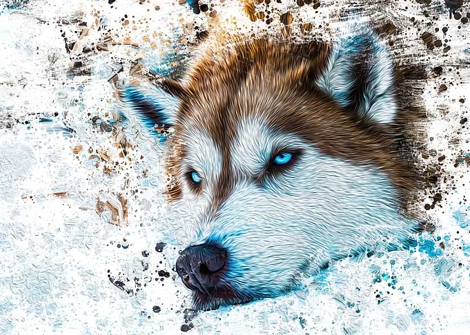 Husky