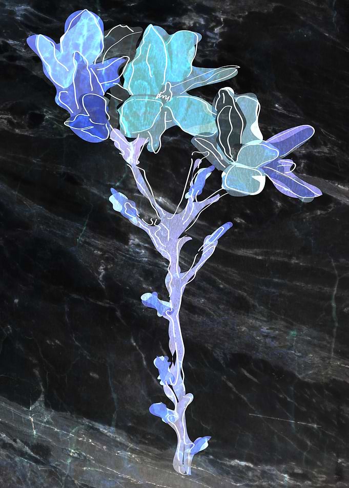 Flower on Granit