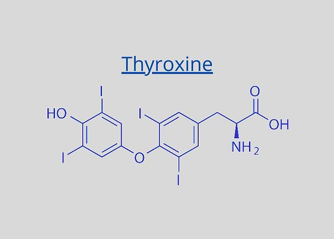 Thyroxine T4 levothyroxi