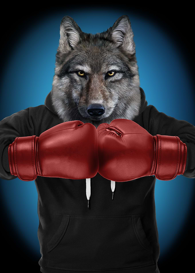 Boxer Wolf