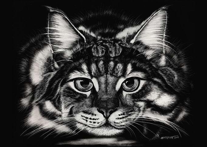 Dragon Cat