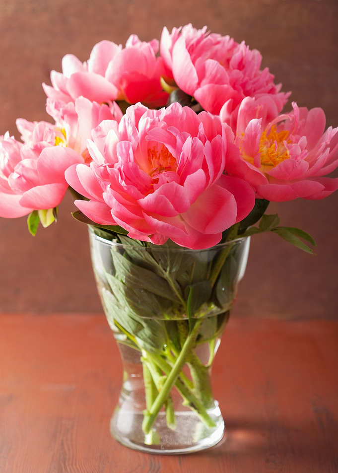 Flower in Frame 4