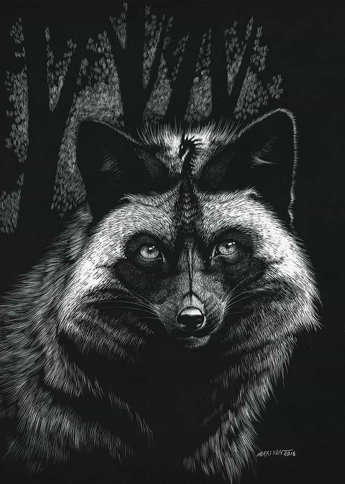 Silver Dragon Fox