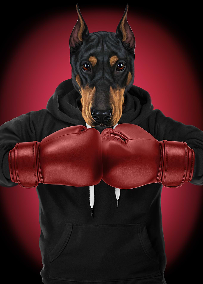 Boxer Doberman