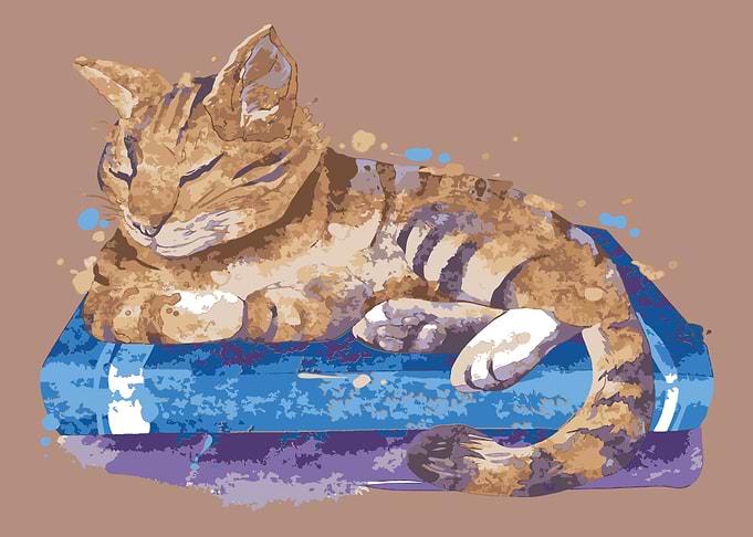 Paper Weight