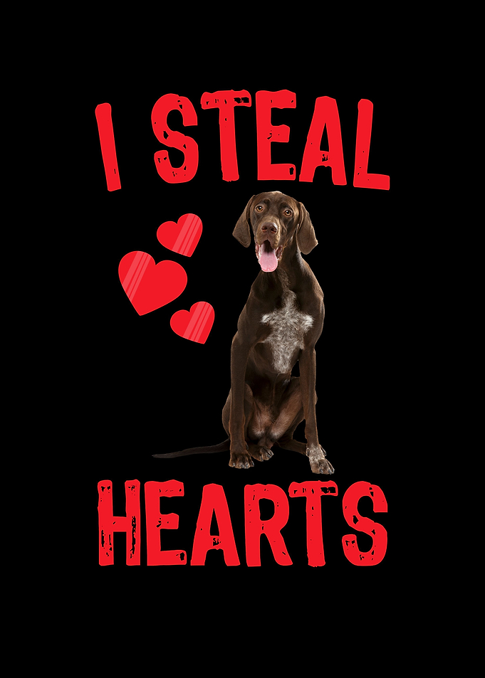 German Shorthair Pointer