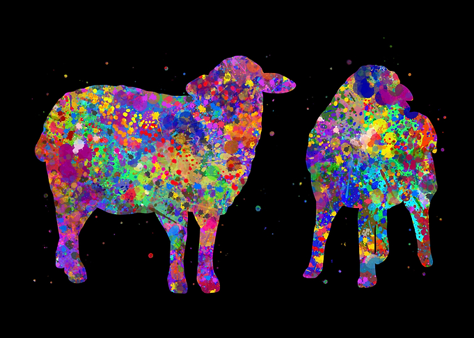 Sheep watercolor