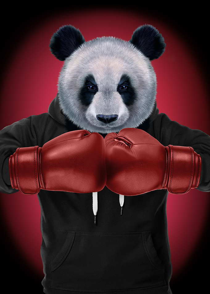 Boxer Giant Panda