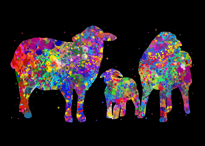 Sheep family