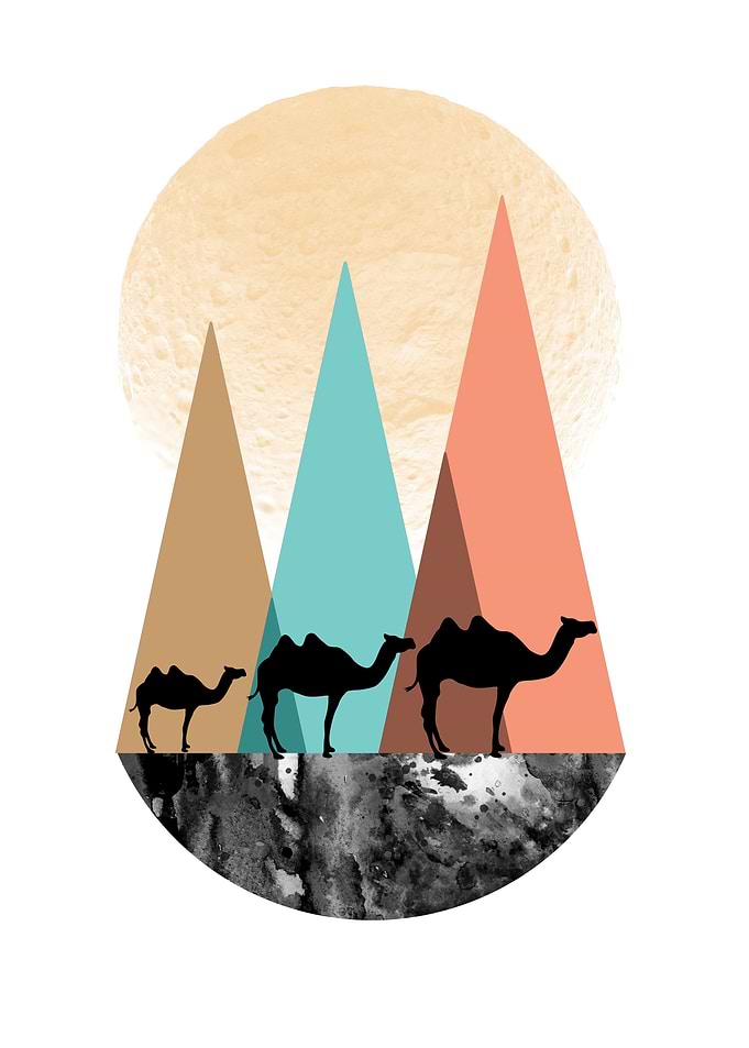Camels